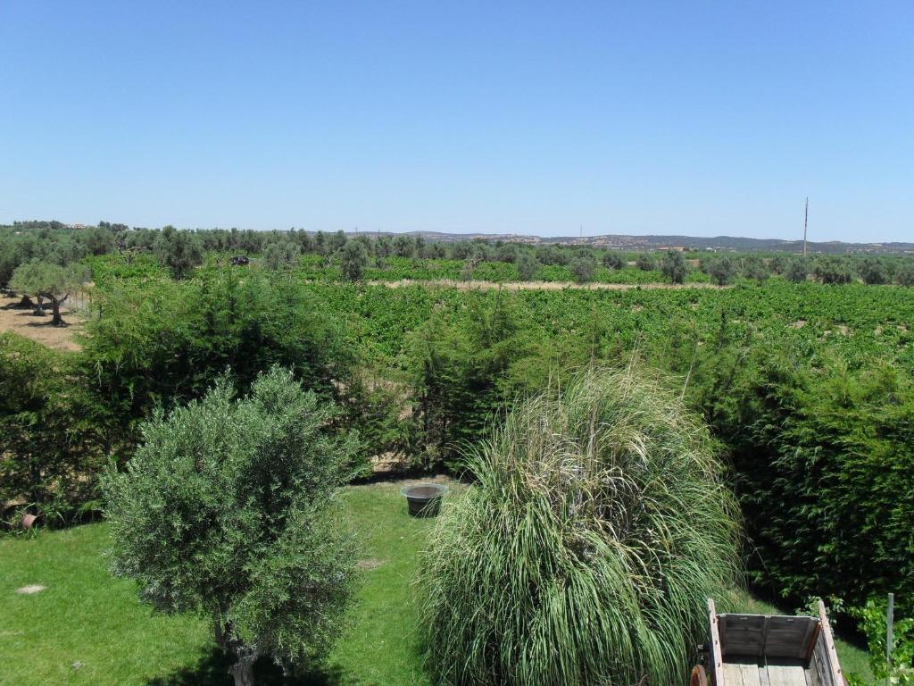 Terras De Monsaraz Hotell Reguengos de Monsaraz Rom bilde